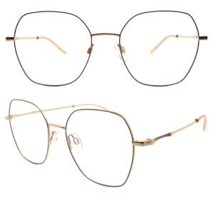 BisonEyewear metal optical fame
