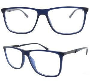 BisonEyewear injection acetate frame